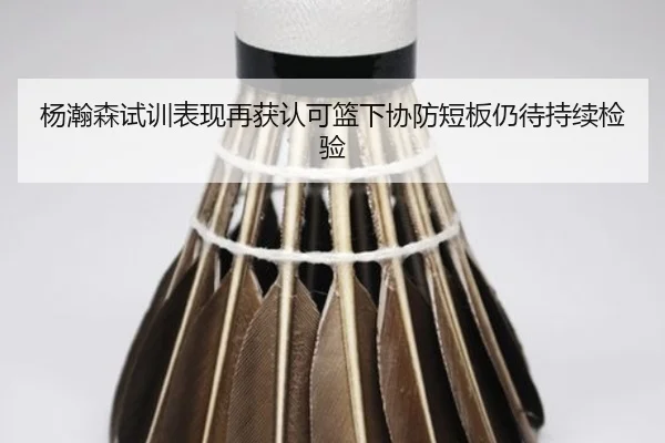 杨瀚森试训表现再获认可篮下协防短板仍待持续检验 - hth
